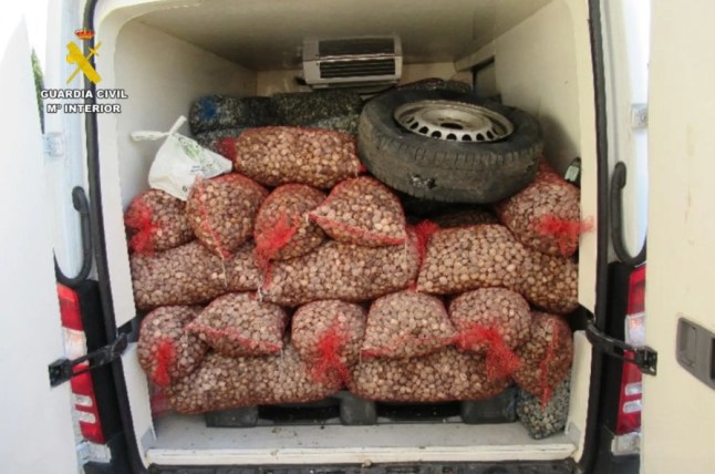 Law enforcement authorities from France, Portugal and Spain, supported by Europol, have arrested 62 members of multiple organised criminal groups involved in the illegal fishing of contaminated molluscs in Portugal and Spain. The 17 action days also resulted in the seizure of 30 tonnes of molluscs and 6 tonnes of glass eels worth up to EUR 10 million on the seafood market. Six of the suspects are considered High Value Targets by authorities.